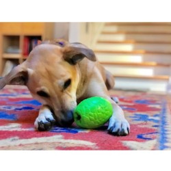 Soda Pup MKB Dinosaur Egg zielone jajo dinozaura