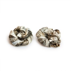 Wianek ze skóry dorsza dla psa - naturalny suszony przysmak