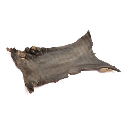 Suszona skóra końska dla psa