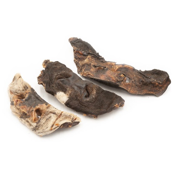 Nosek wołowy z futrem