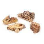 Płuca wołowe. Na wagę.