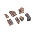 Penis koński 100g - OUTLET