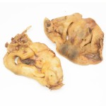 Nosek koński miodowy