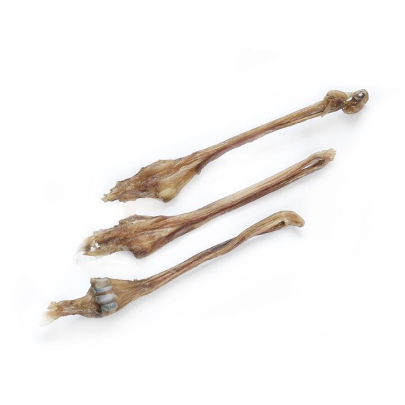 naturalny suszony gryzak dla psa ścięgno Achillesa z sarny