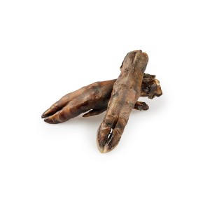 Racica dzika. Na sztuki