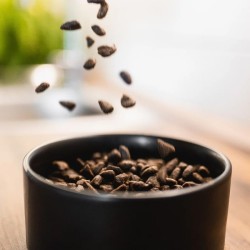 półwilgotna karma z insektów dla psa