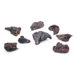 suszony gryzakdla płuca jelenia dla psa