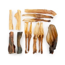 zeSTUFF STAY-IN luz.jpg