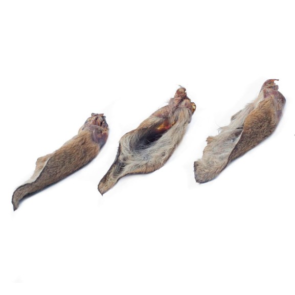 suszony naturalny gryzak dla psa ucho sarny z futrem