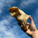 Stripsy wołowe białe. Opakowanie 200 g Idealny dla małych psów