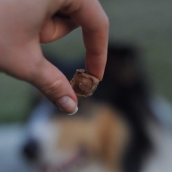 Pferd voll drauf ab - Tales Ans Tails smakołyki mięsne z koniny