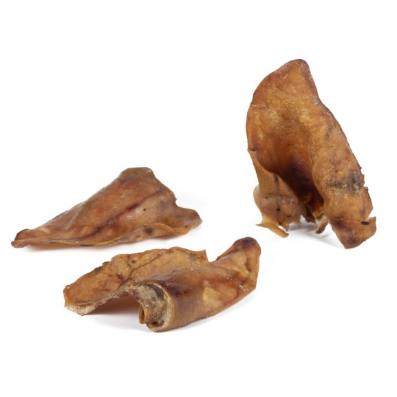 suszony gryzak dla psa ucho wieprzowe XXL