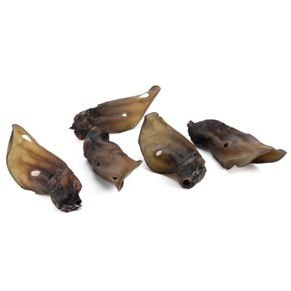 suszony gryzak dla psa ucho wołowe naturalne