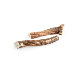 naturalny gryzak dla psa poroże jelenia