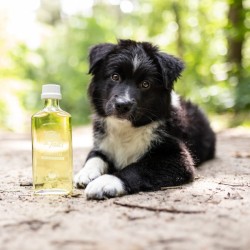 Olej z łososia dla psa
