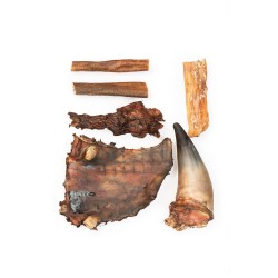 Hard STUFF dla zaawansowanych - zestaw twardych gryzaków dla psa